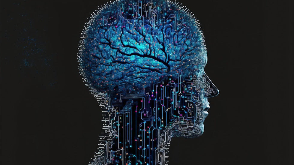 how to reprogram your mind