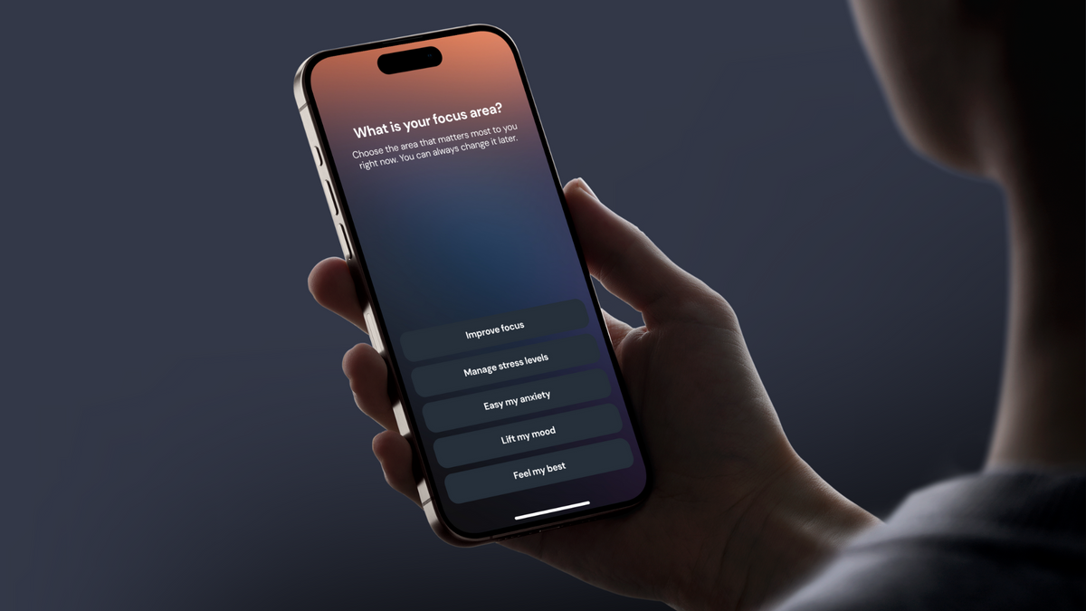 Introducing Focus Areas – Mendi.io