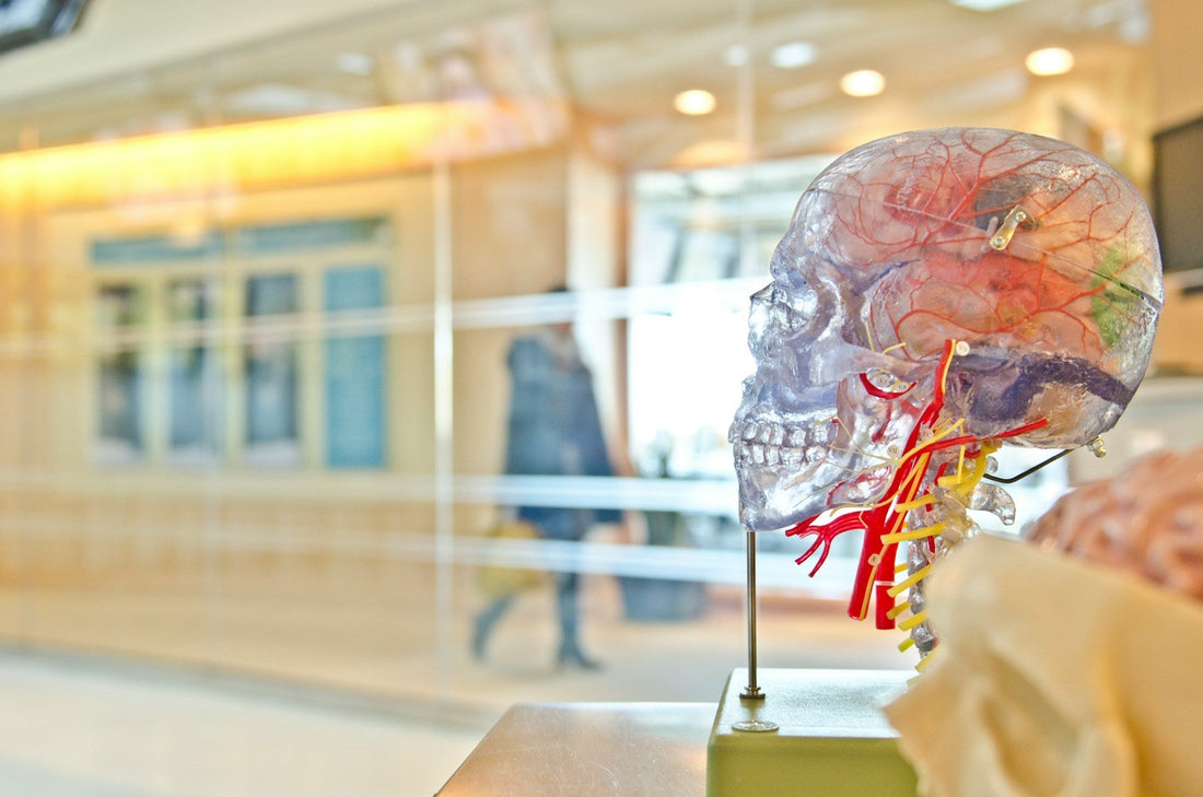 how long does neurofeedback last