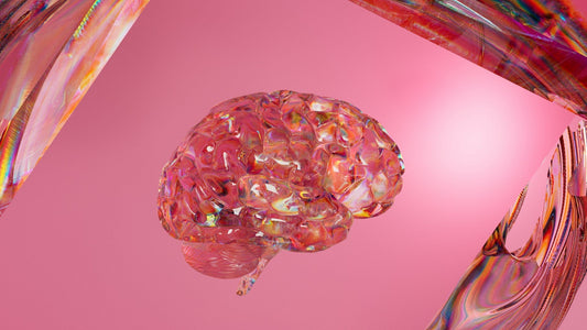 Mendi vs NeuroSky MindWave Mobile 2