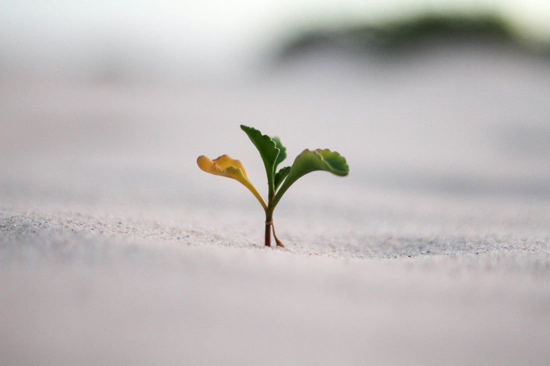 personal development activities