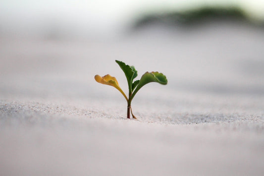 personal development activities